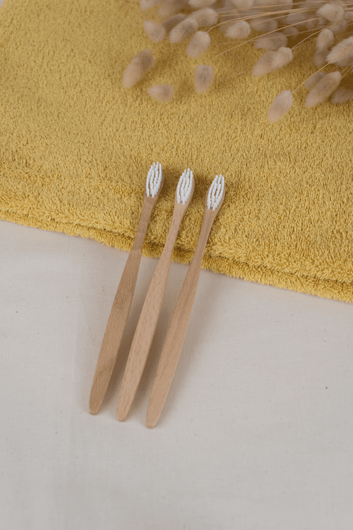 manche brosse à dents en bois