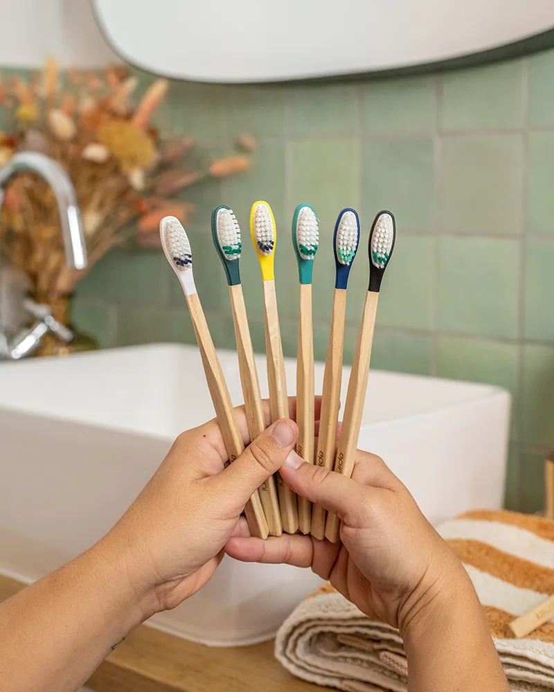 manche brosse à dents en bois